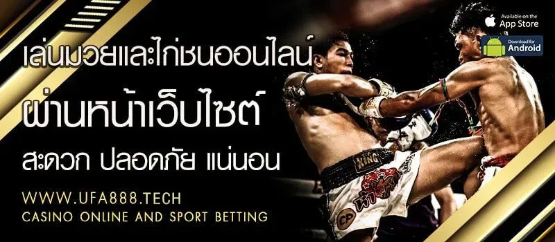 แทงมวยufa888